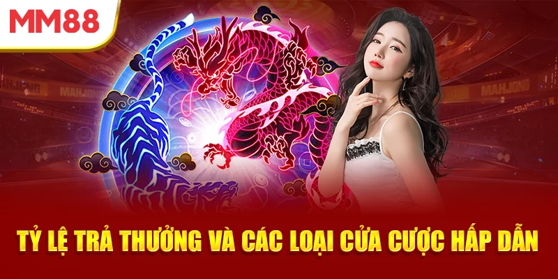 Mẹo chơi Rồng Hổ hiệu quả - Quản lý vốn
